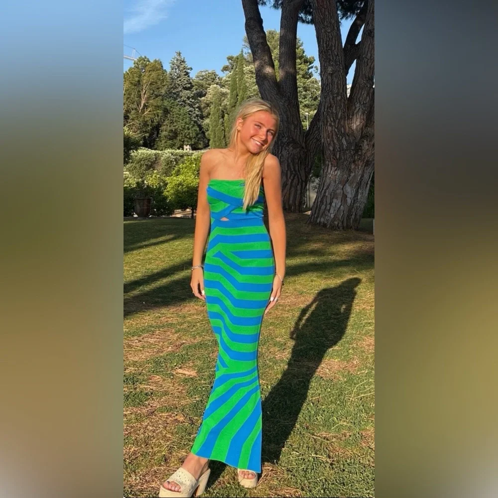 The wolf gang Aude Maxi Dress - Picture 4 of 4